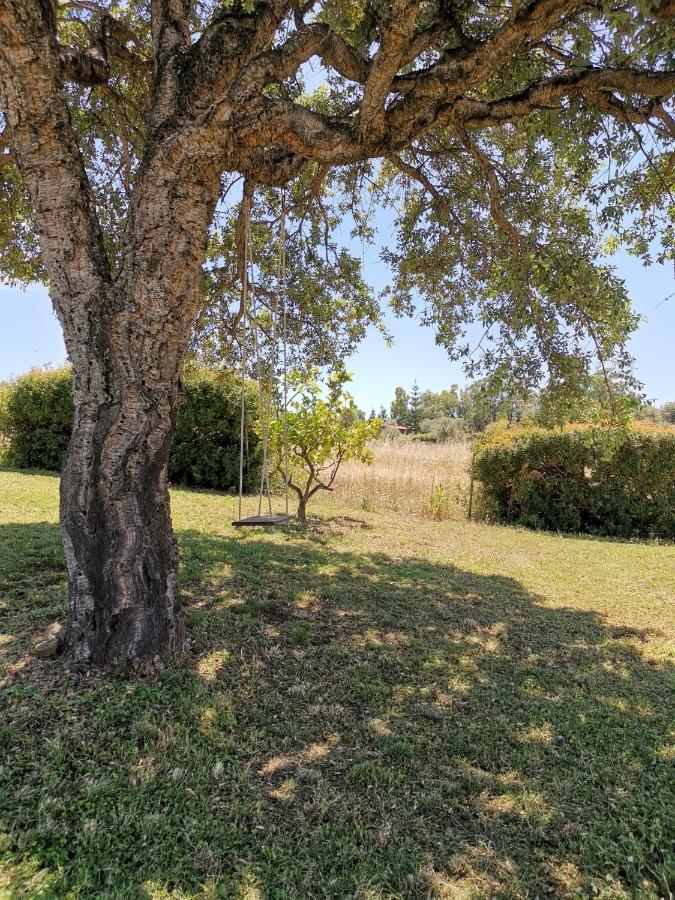 Home Garden سينيسكولا المظهر الخارجي الصورة
