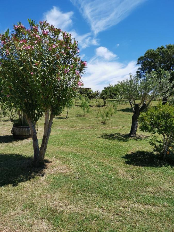 Home Garden سينيسكولا المظهر الخارجي الصورة