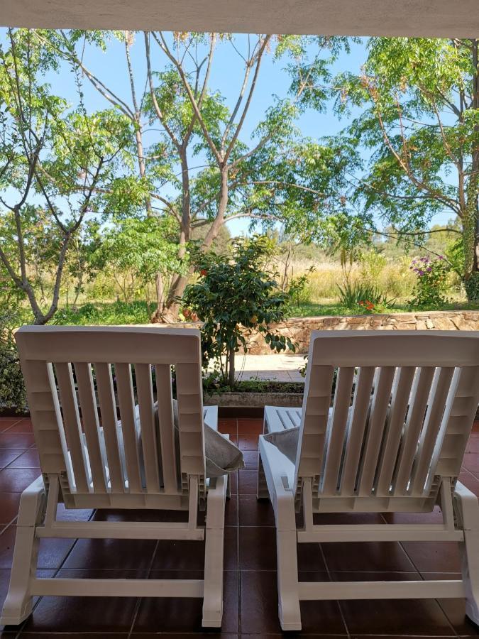 Home Garden سينيسكولا المظهر الخارجي الصورة