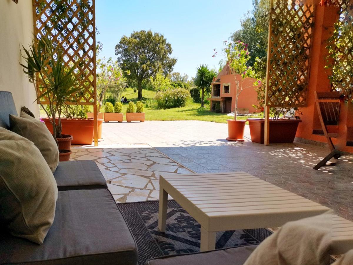 Home Garden سينيسكولا المظهر الخارجي الصورة