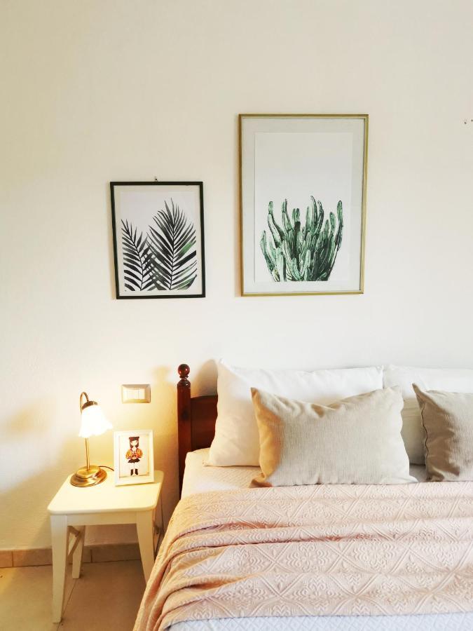 Home Garden سينيسكولا المظهر الخارجي الصورة