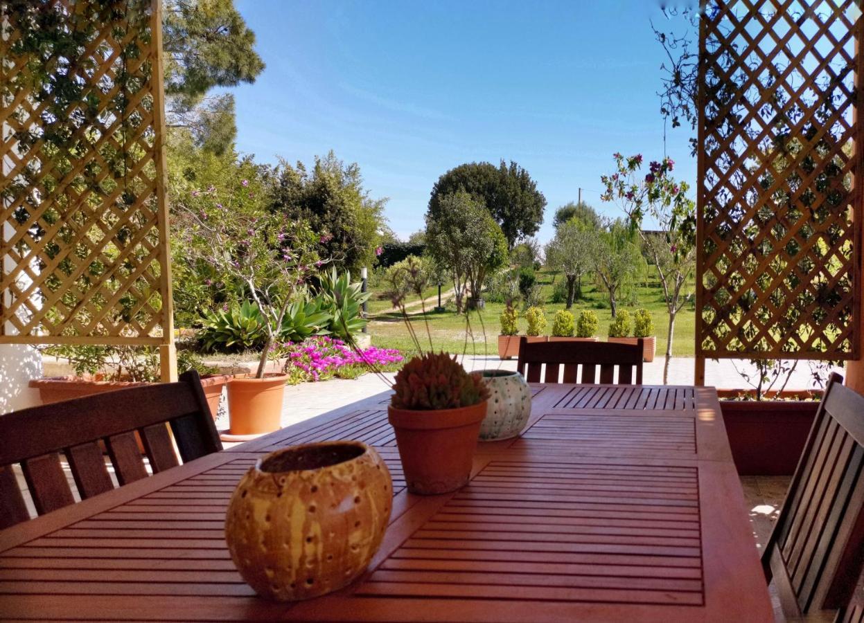 Home Garden سينيسكولا المظهر الخارجي الصورة