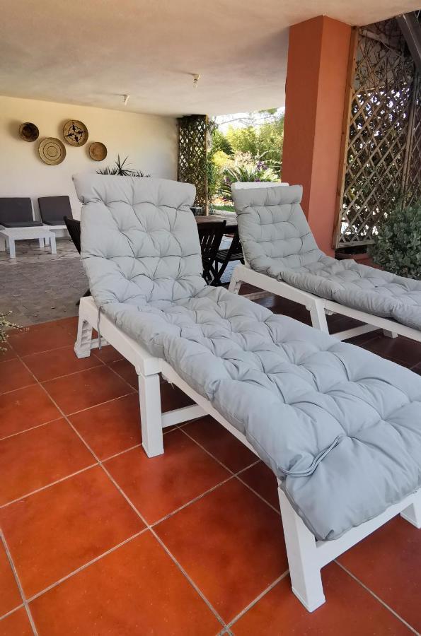 Home Garden سينيسكولا المظهر الخارجي الصورة
