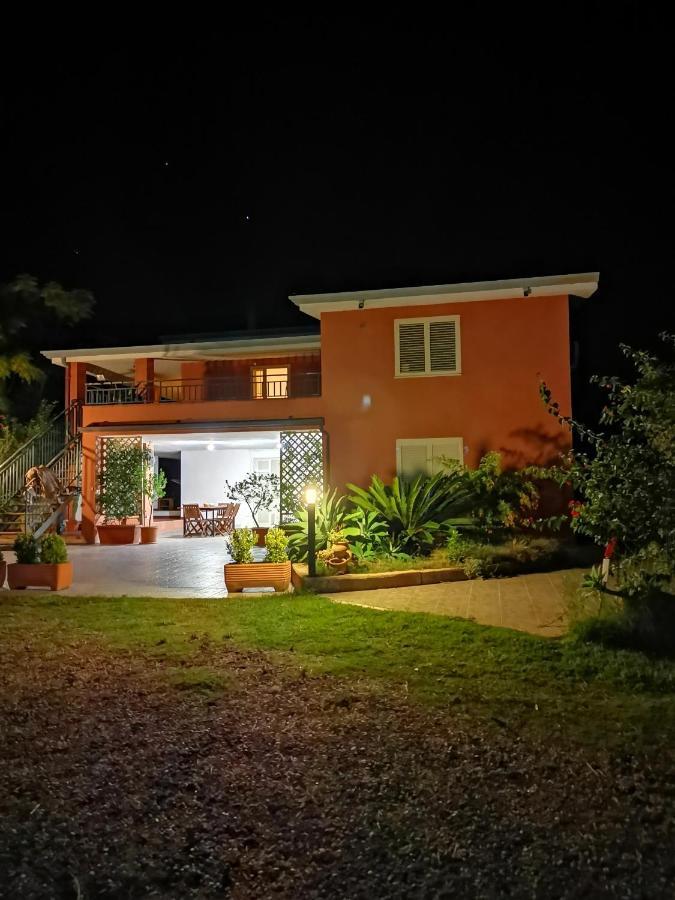 Home Garden سينيسكولا المظهر الخارجي الصورة