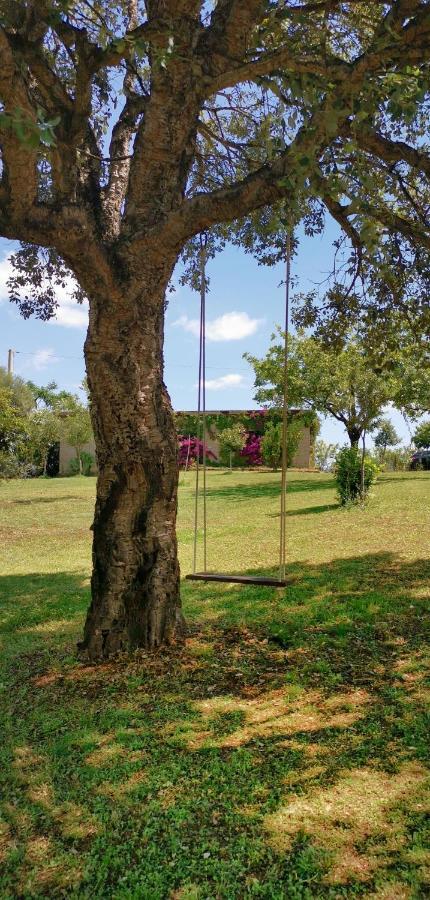 Home Garden سينيسكولا المظهر الخارجي الصورة