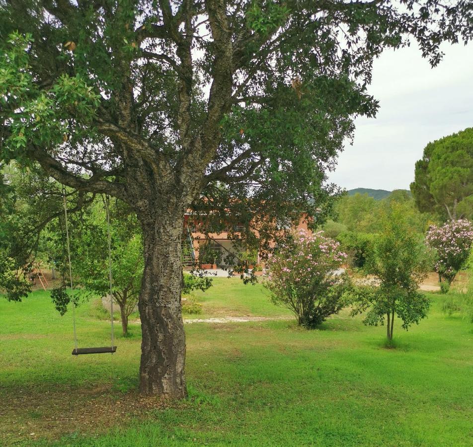 Home Garden سينيسكولا المظهر الخارجي الصورة