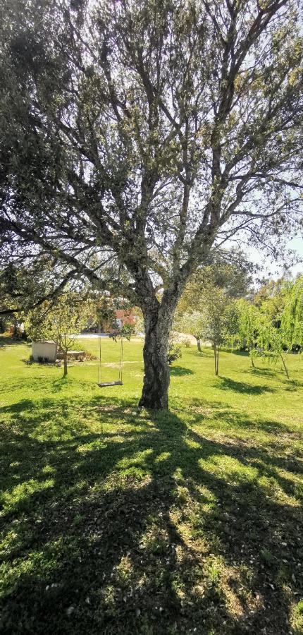 Home Garden سينيسكولا المظهر الخارجي الصورة