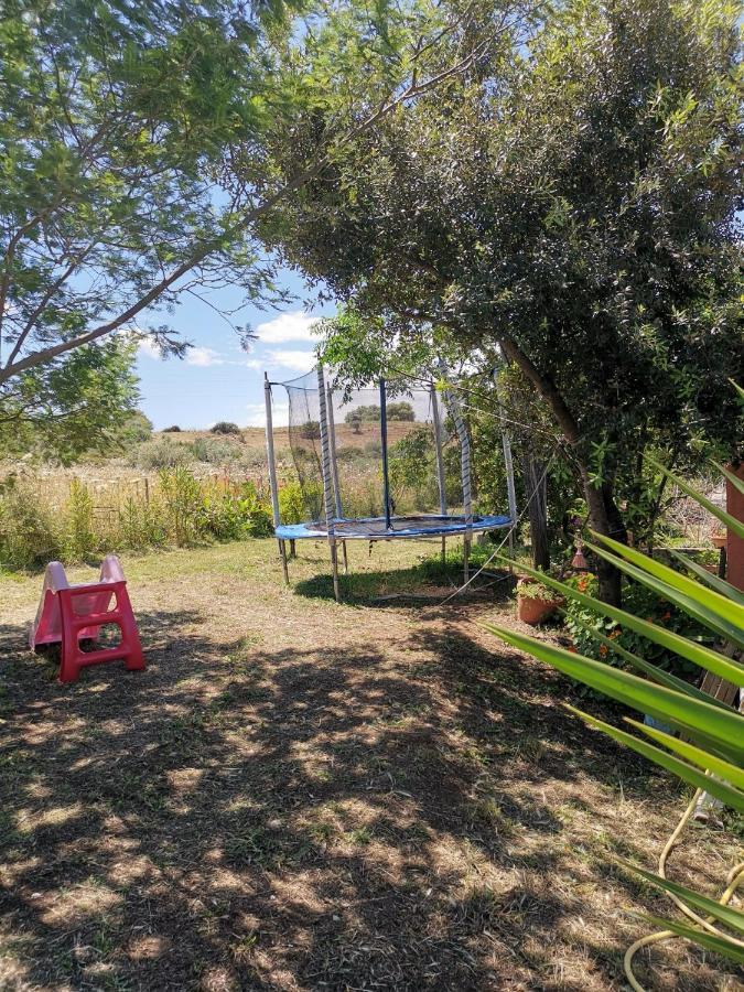 Home Garden سينيسكولا المظهر الخارجي الصورة