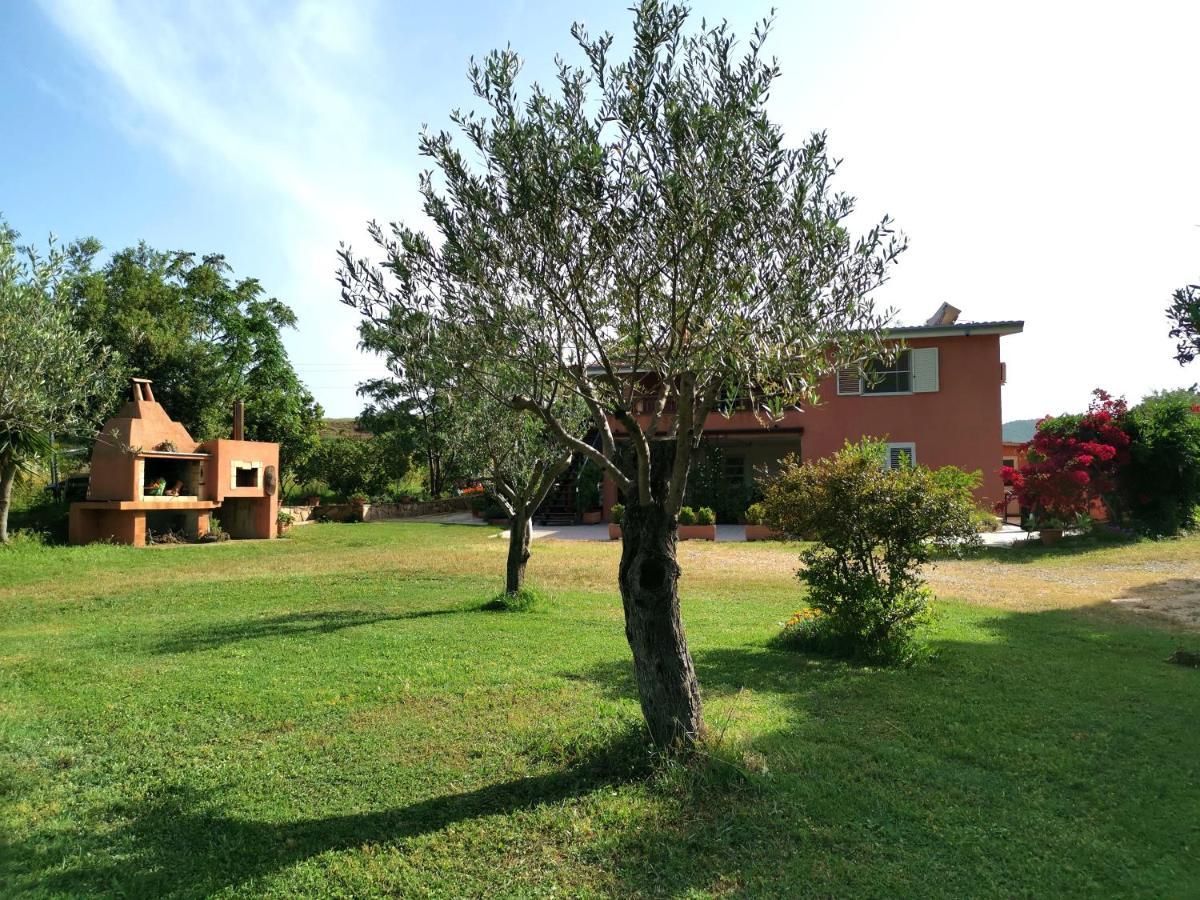 Home Garden سينيسكولا المظهر الخارجي الصورة