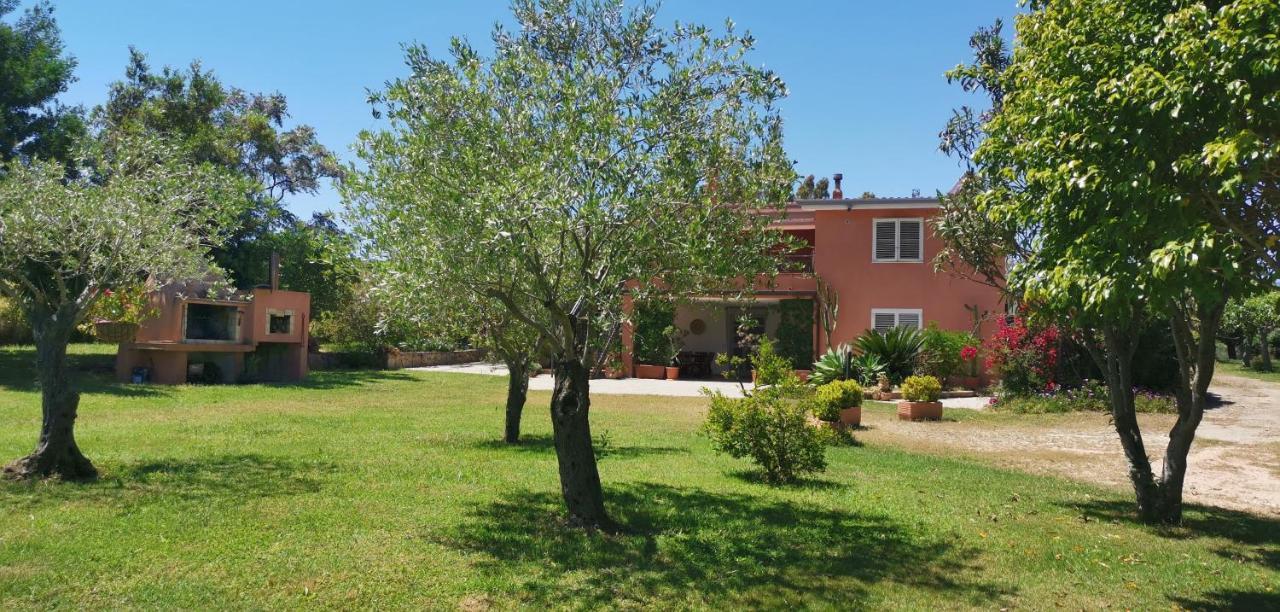 Home Garden سينيسكولا المظهر الخارجي الصورة