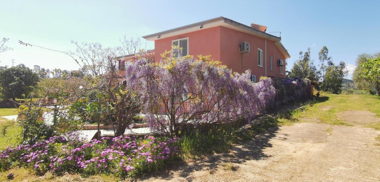 Home Garden سينيسكولا المظهر الخارجي الصورة