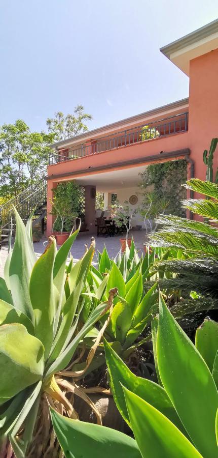 Home Garden سينيسكولا المظهر الخارجي الصورة