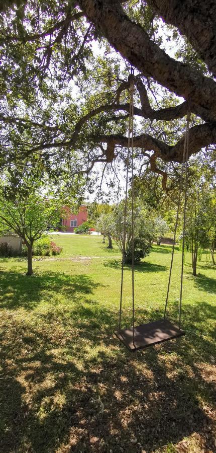 Home Garden سينيسكولا المظهر الخارجي الصورة