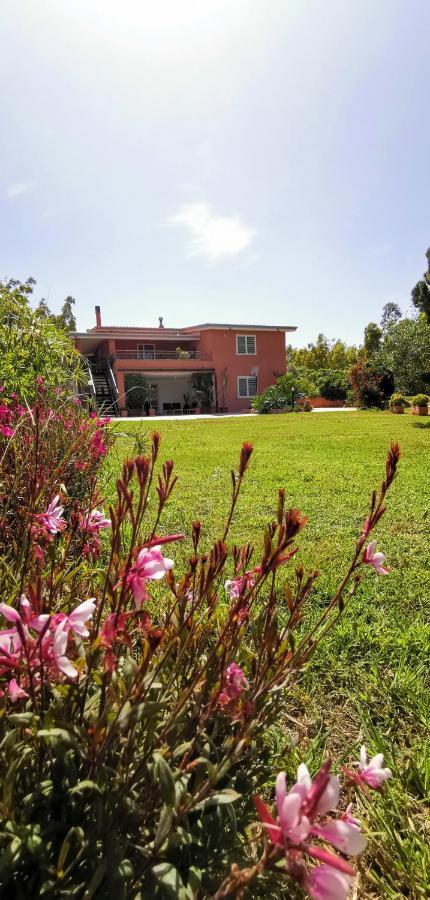 Home Garden سينيسكولا المظهر الخارجي الصورة