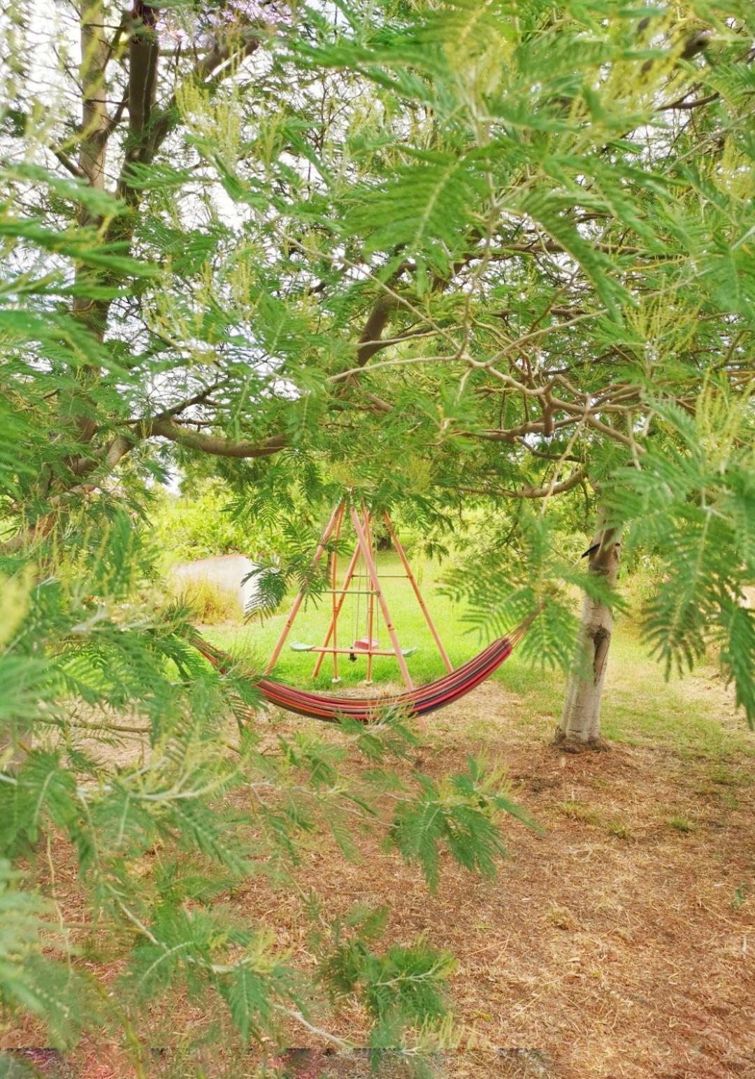 Home Garden سينيسكولا المظهر الخارجي الصورة